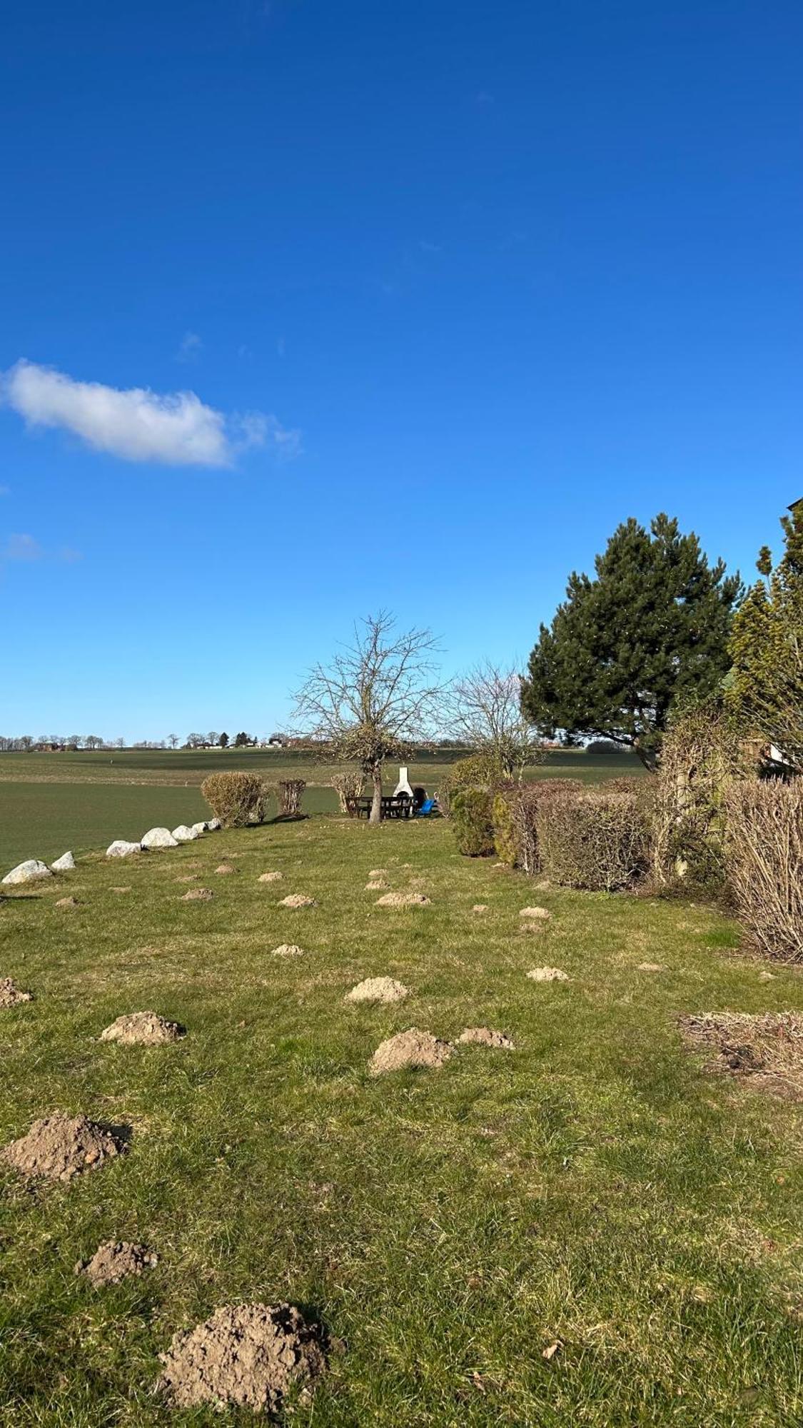 Haus Jenny, Wohnung E3B, Sonne Rundum Boltenhagen  Bagian luar foto